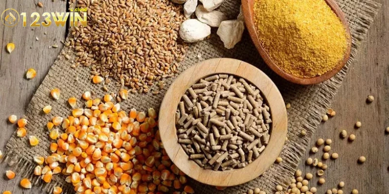 Thức Ăn Cho Chiến Kê: Bí Quyết Dinh Dưỡng Để Chiến Thuật 3 Các loại thức ăn dinh dưỡng cao dành cho các chiến kê