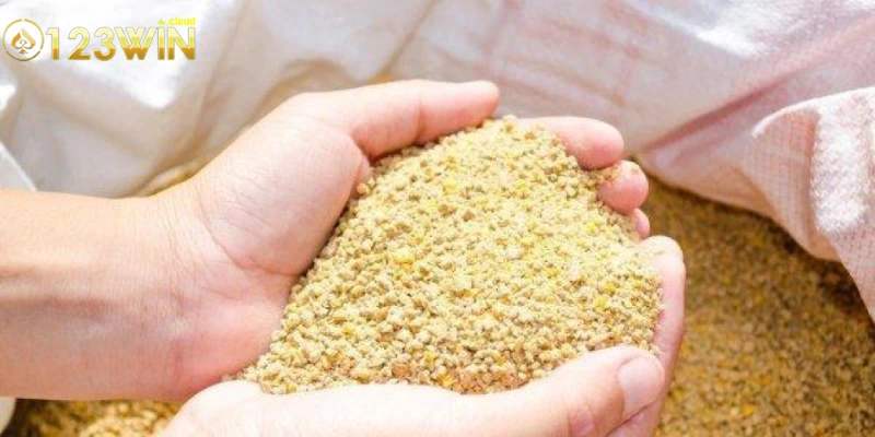 Thức Ăn Cho Chiến Kê: Bí Quyết Dinh Dưỡng Để Chiến Thuật 4 Cách chọn lựa thức ăn cho chiến kê phù hợp